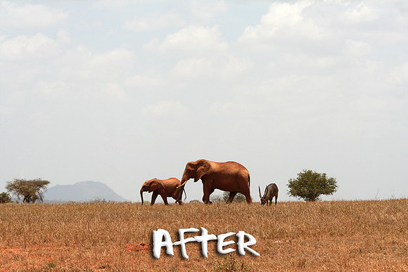 Kenya Edited