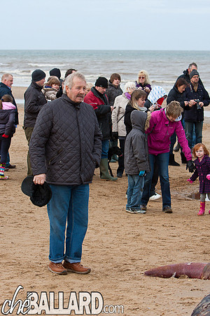 Beached Sperm Whale, Hunstanton